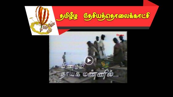 மீண்டும் தாயக மண்ணில் – 1994 மே